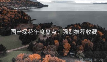 国产探花年度盘点：强烈推荐收藏