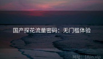 国产探花流量密码：无门槛体验