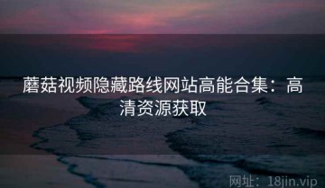 蘑菇视频隐藏路线网站高能合集：高清资源获取