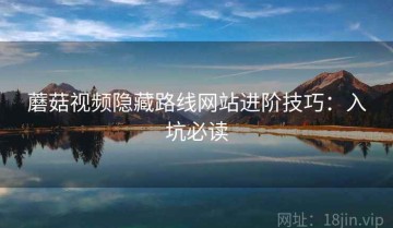 蘑菇视频隐藏路线网站进阶技巧：入坑必读