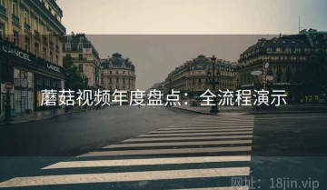 蘑菇视频年度盘点：全流程演示