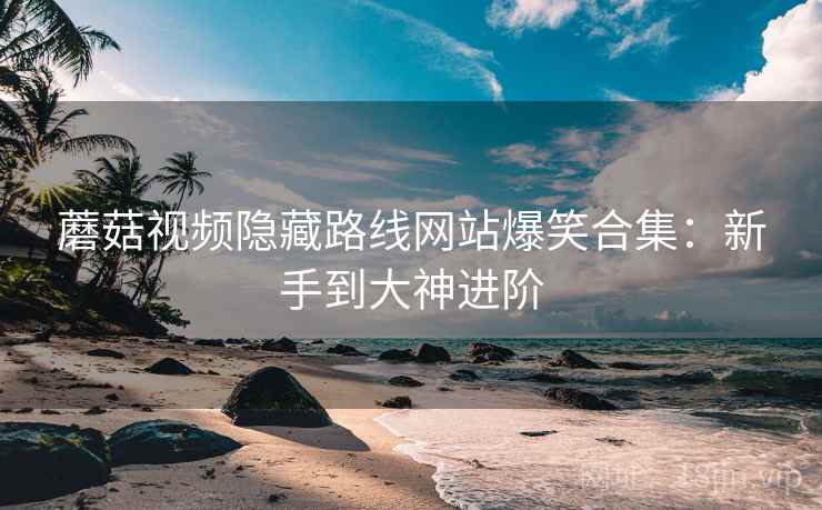 蘑菇视频隐藏路线网站爆笑合集：新手到大神进阶