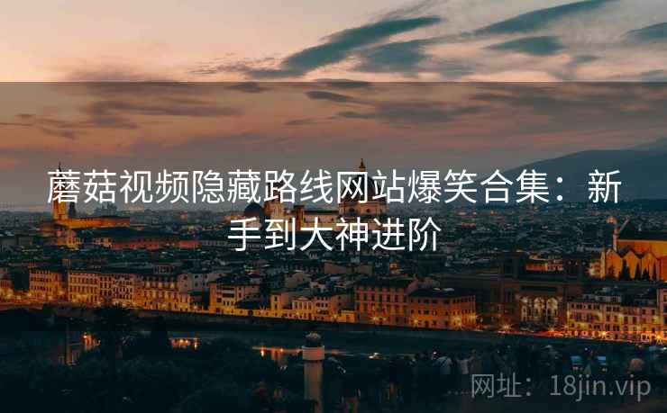 蘑菇视频隐藏路线网站爆笑合集：新手到大神进阶