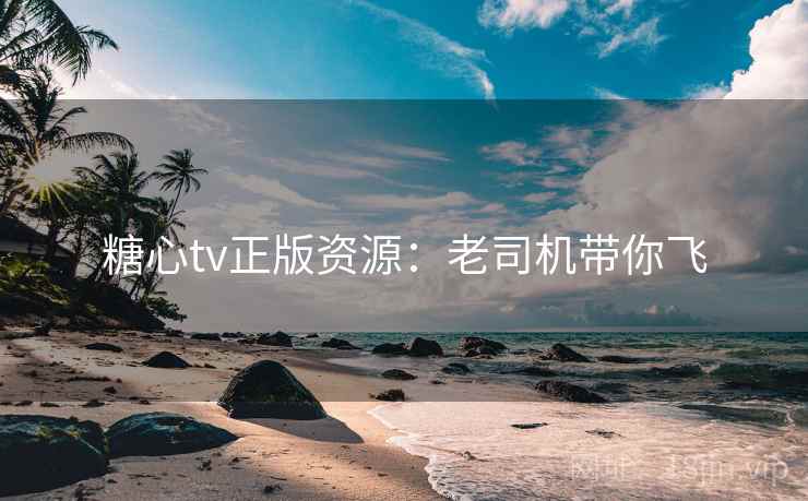 糖心tv正版资源：老司机带你飞