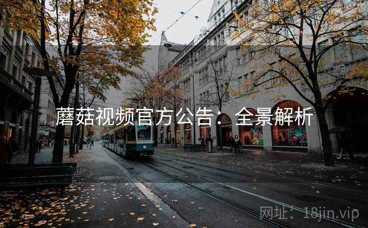蘑菇视频官方公告：全景解析